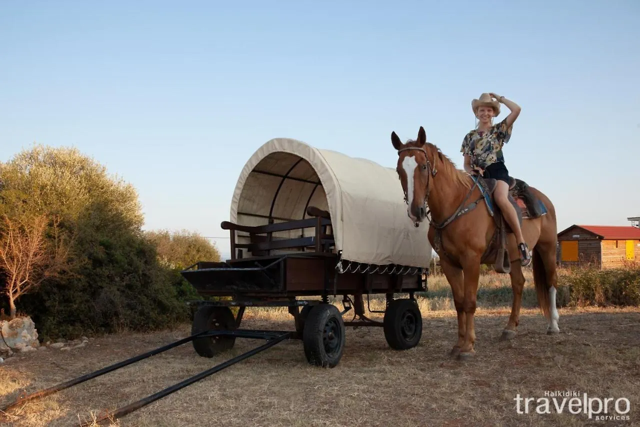 Billy Farmland By Travelpro Services- Nea Triglia Halkidiki 0*,