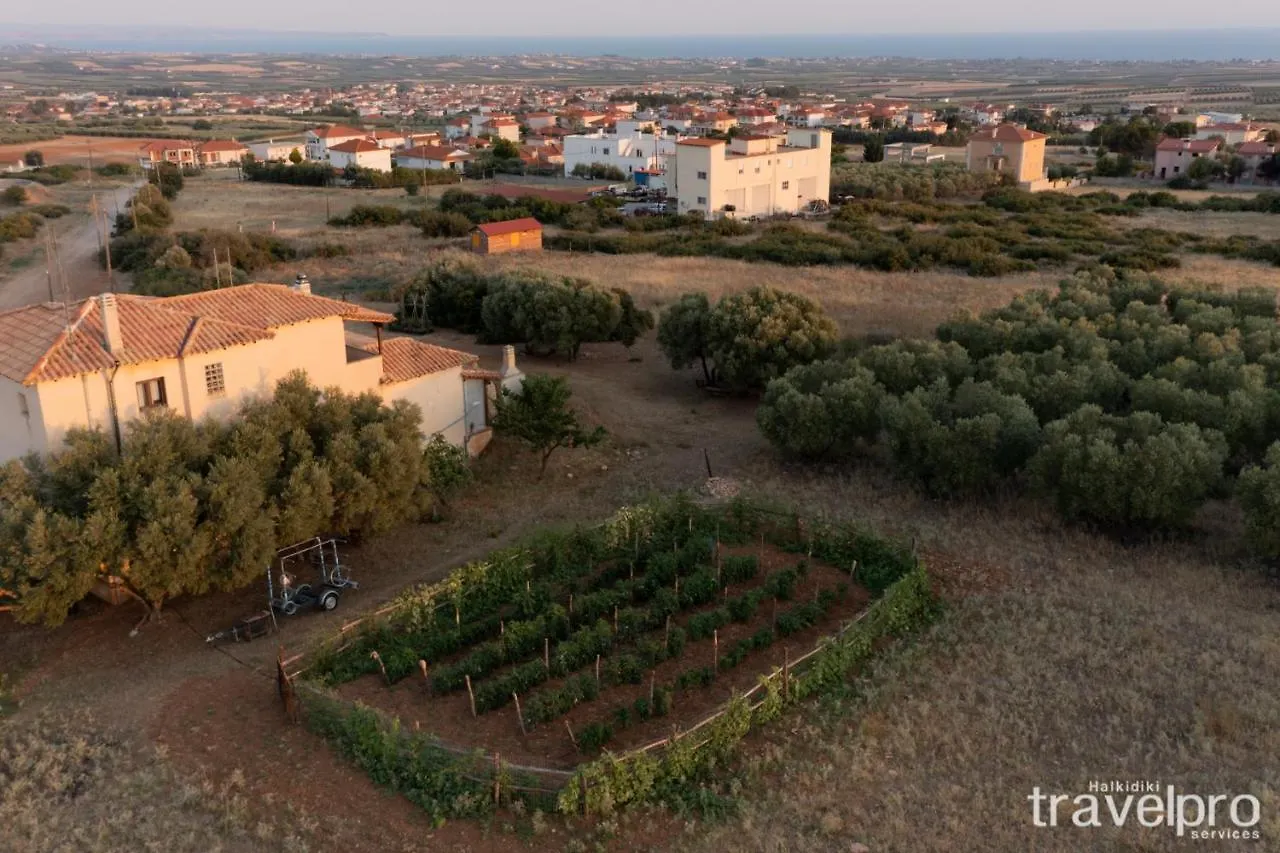 Billy Farmland By Travelpro Services- Nea Triglia Halkidiki 0*,  Greece