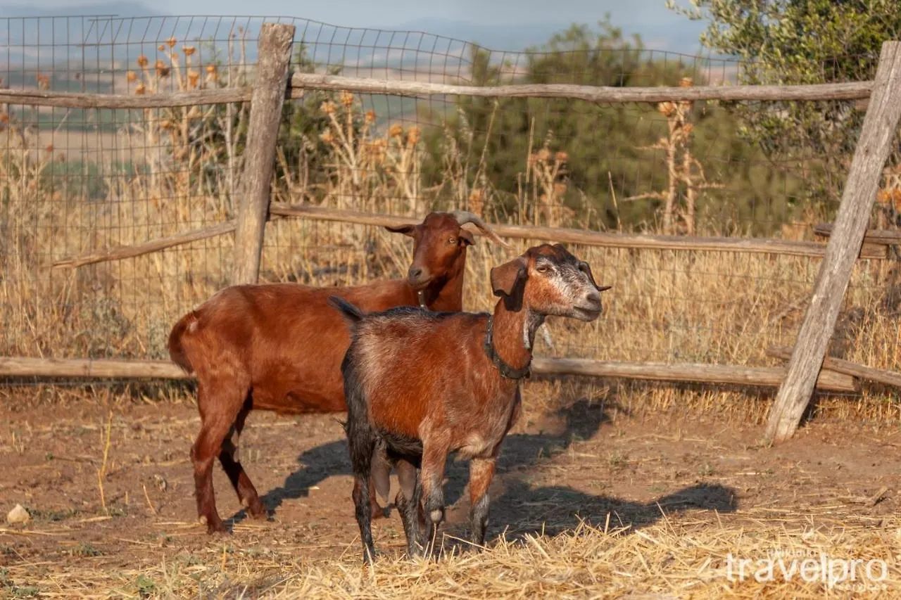 Billy Farmland By Travelpro Services- Nea Triglia Halkidiki 0*,