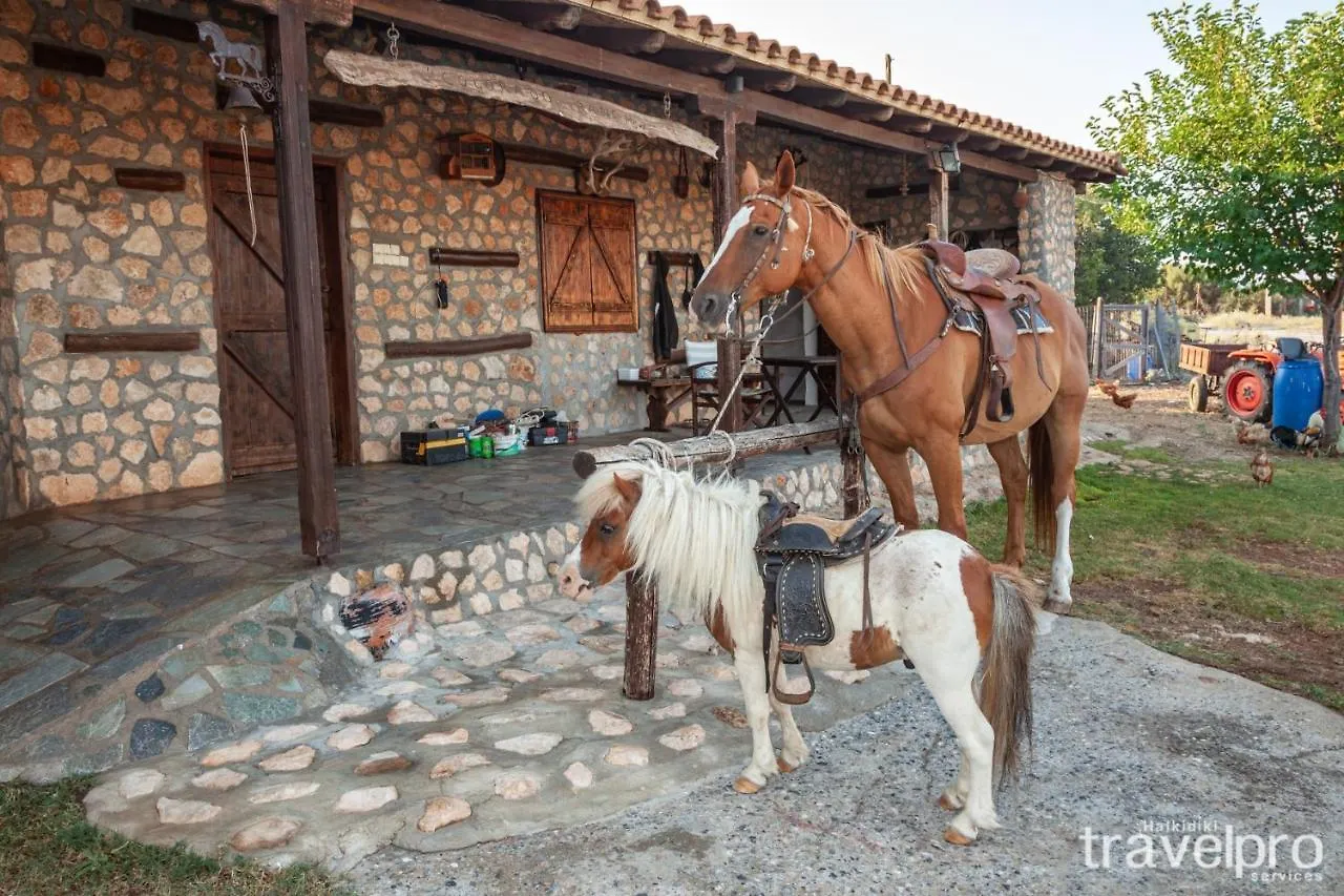 Billy Farmland By Travelpro Services- Nea Triglia Halkidiki Villa