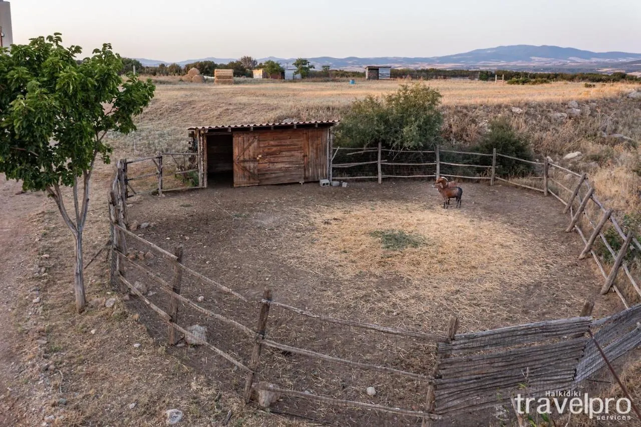 Billy Farmland By Travelpro Services- Nea Triglia Halkidiki